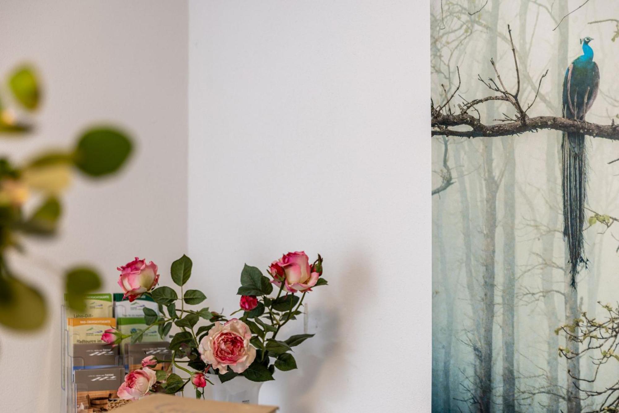 Dream Green Apartment 'Meadow' 格拉登巴赫 外观 照片